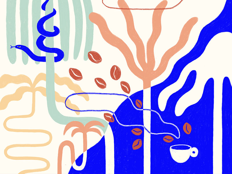 2022_EIICA_El_Salvador_Adele_Ferreet_alternate_banner_800.600