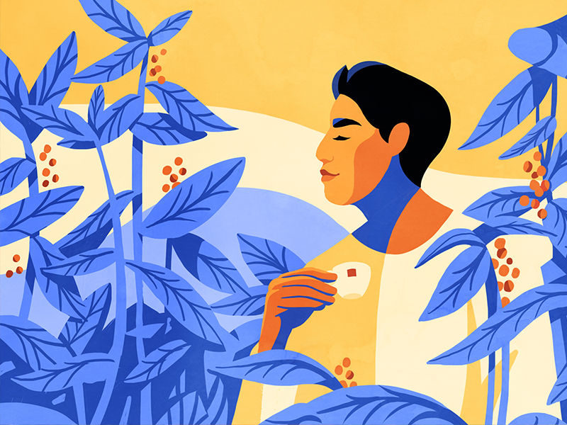 2022_EIICA_Nicaragua_Petra_Eriksson_alternate_banner_800.600