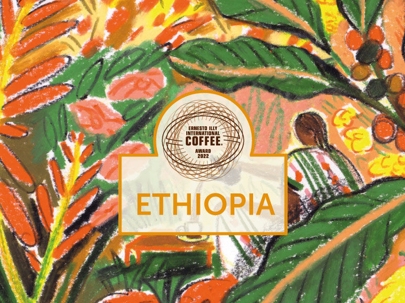12_ALTERNATE_ENG_800x600px_ETIOPIA