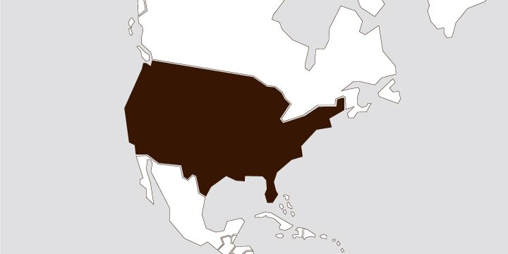 Mapa de estados unidos