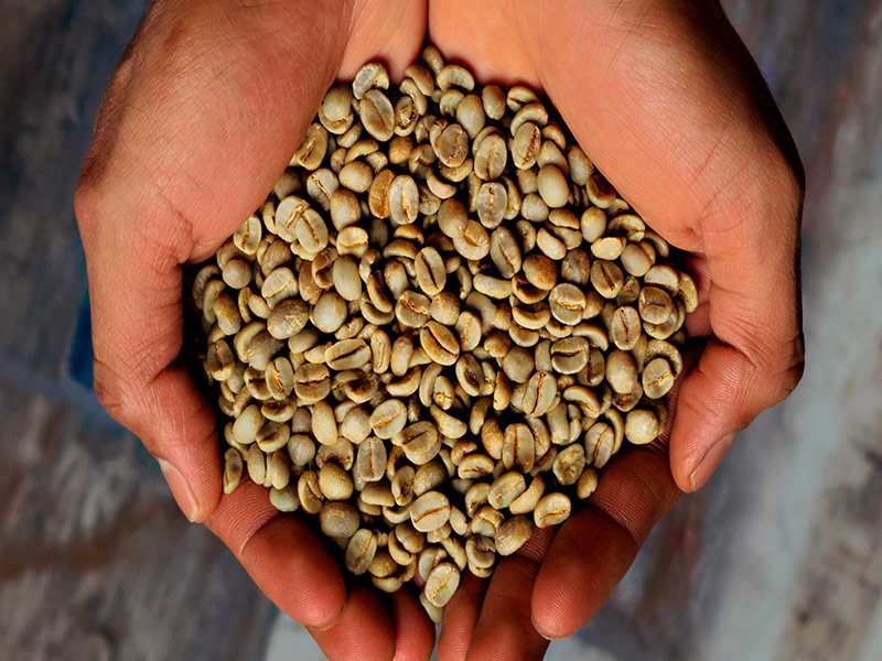 Arabica Selection Single Origin Coffee illy