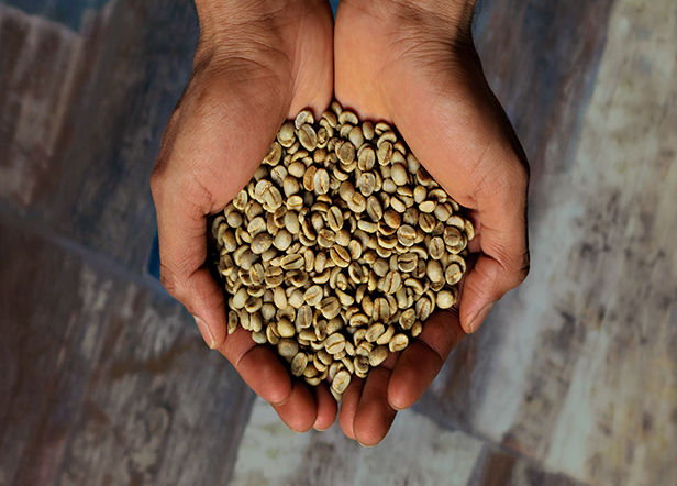 green_coffee_menu
