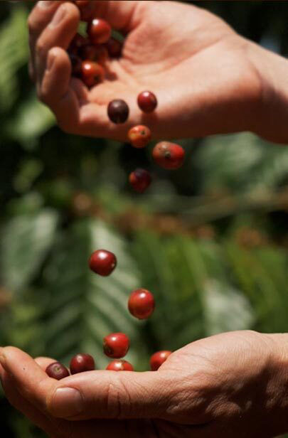 One Makes The Difference