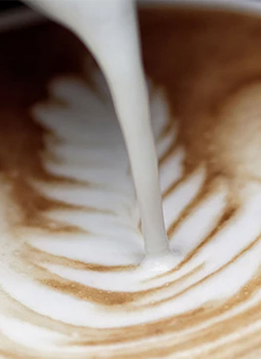 21.04.15_latte-art_square-image-slider_510x700