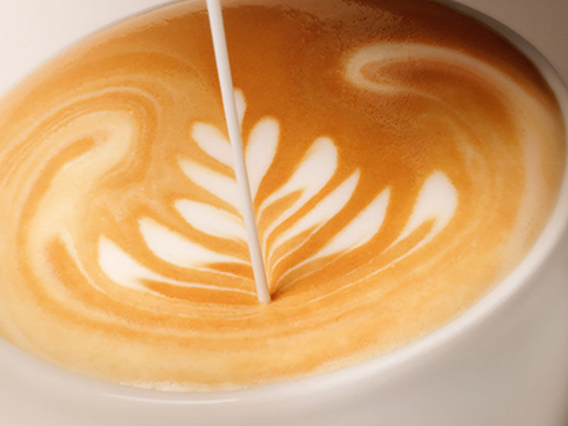 Cappuccio_13A