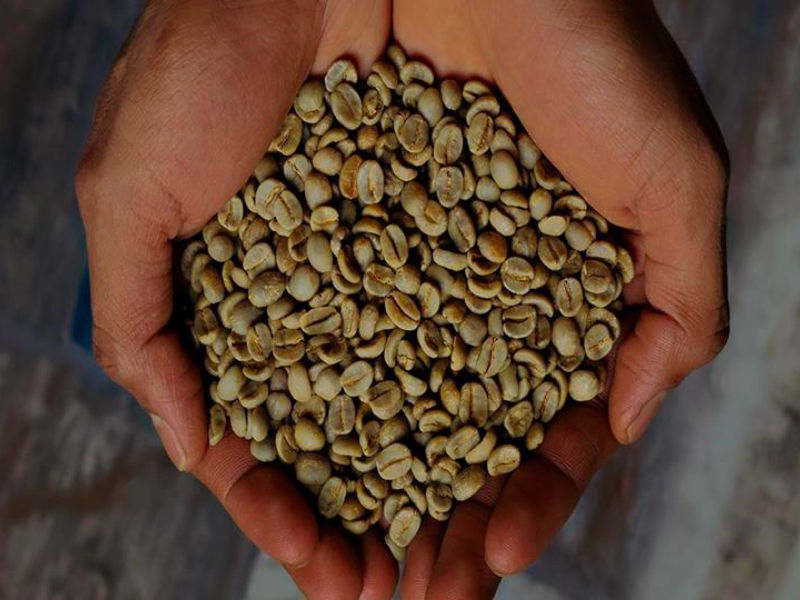 21.04.19_illy-coffee-beans_alternate-banner_800x600