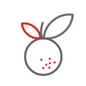 21.04.01_orange-flowers_icon_168x168