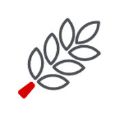 21.04.01_toasted-cereal_icon_168x168