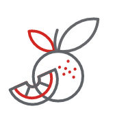21.04.20_Agrumi-icon_i68x168