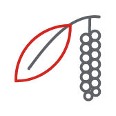 21.04.20_Pepenero-icon_i68x168