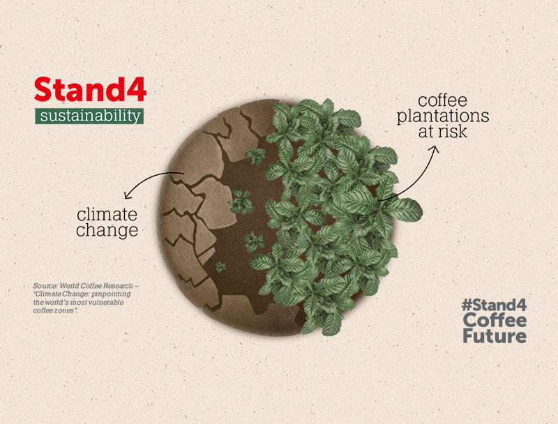 Climate Change: by 2050, 50% of the land used for growing coffee could disappear.