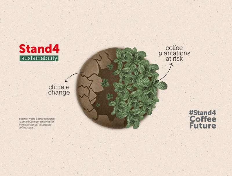 Climate Change: by 2050, 50% of the land used for growing coffee could disappear.