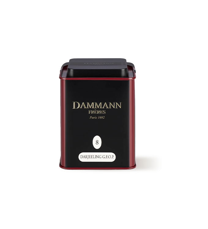 Loser Tee Dammann Darjeeling GFOP - 100gr