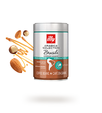 Café en grains Arabica Selection Brasile Cerrado Mineiro, 250 g