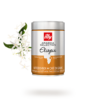 Café en grains - Arabica Selection Ethiopie - 250 g
