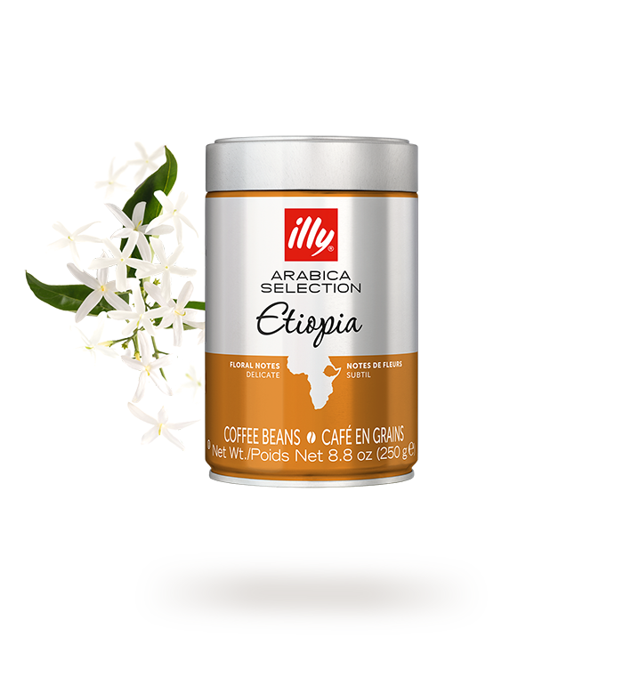 Arabica Selection Whole Bean Etiopia - 6-Pack image number 0