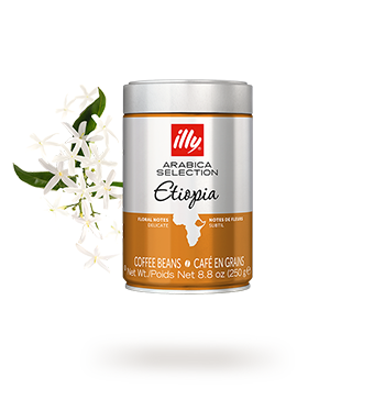 Arabica Selection Whole Bean Coffee Etiopia