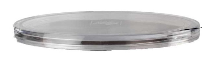 Milk Frother Lid