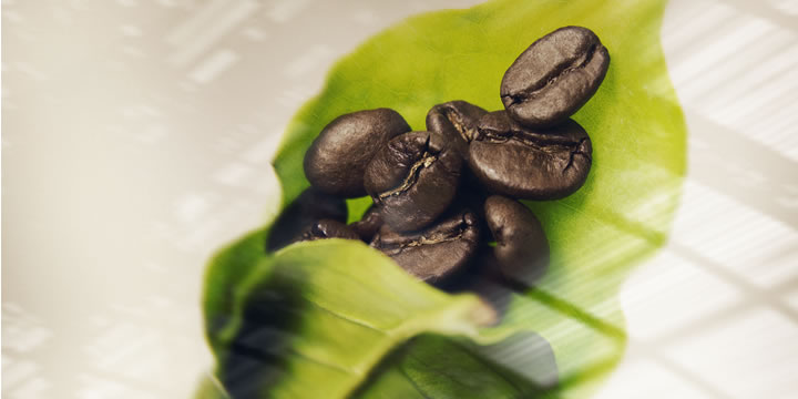 illy CA coffee beans nine arabicas AromaKaffe