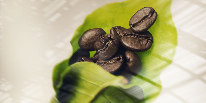 Café en grains illy torréfaction traditionnelle 