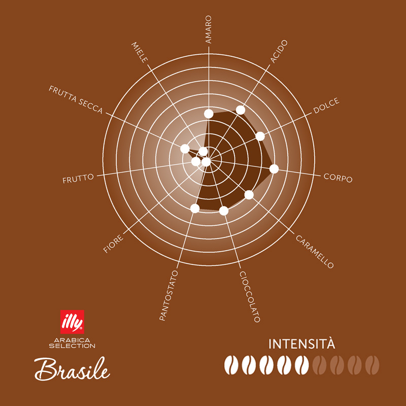 Koffiebonen Arabica Selection - Brazilië